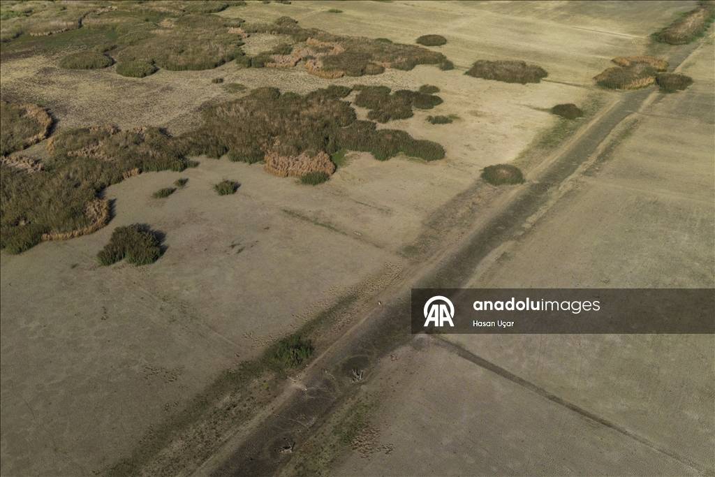 Kuraklığın etkisi artıyor! En büyük tatlı su gölü için alarm verildi: Su seviyesi düştü, balıklar telef oldu 7